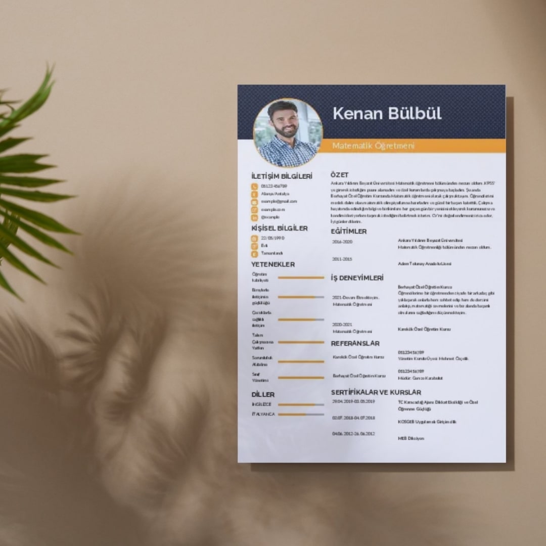 Sade CV Örneği